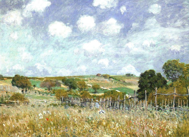 Alfred Sisley Meadow France oil painting art